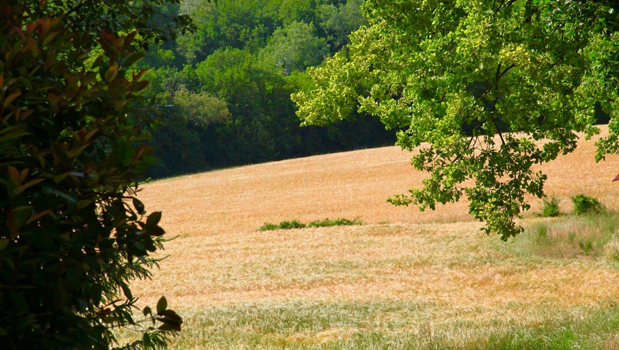agriturismo esterno