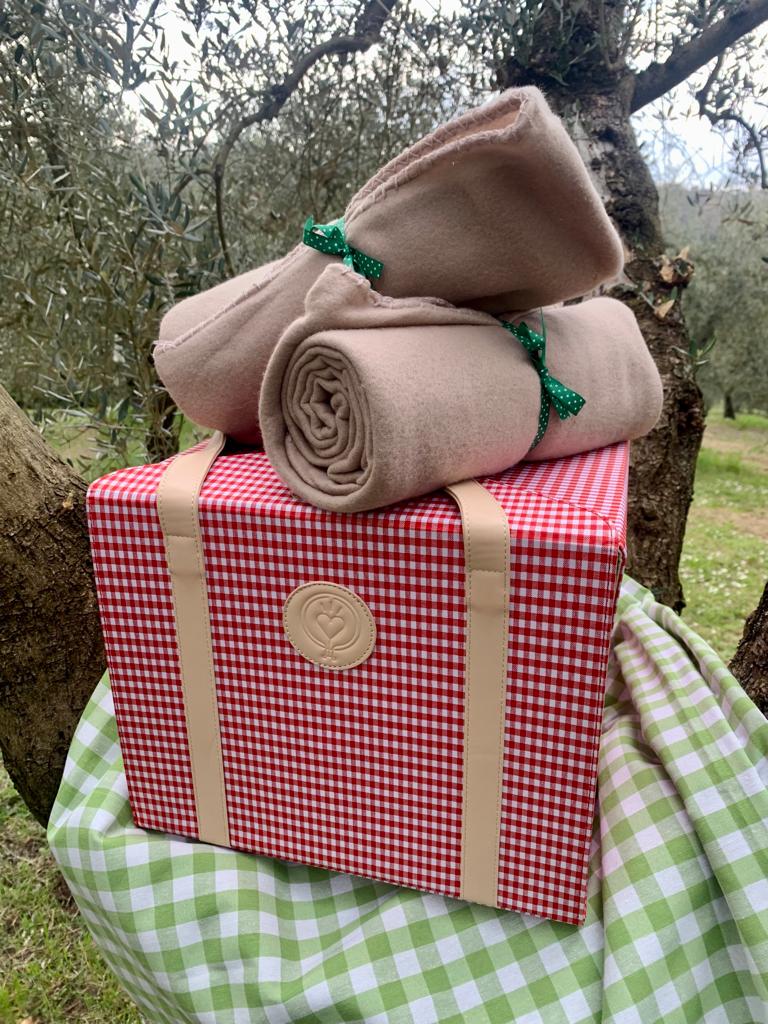 pic nic